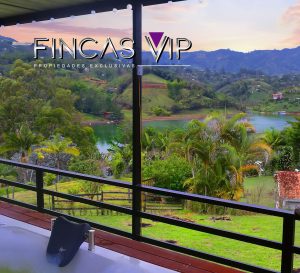 Foto de la finca Andina